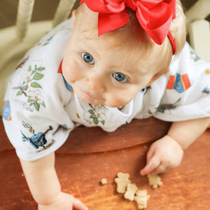 Baby Burp Cloth & Bib Combo: Mississippi - Little Hometown
