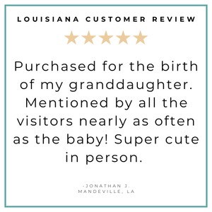 Louisiana Fleur De Lis Baby Gift Bundle - Little Hometown
