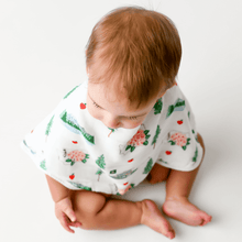 Load image into Gallery viewer, Baby Burp Cloth &amp; Bib Combo: Washington (State) - Little Hometown
