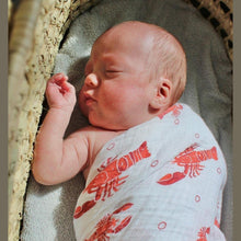 Load image into Gallery viewer, Heads and Tails Baby Muslin Swaddle Receiving Blanket - Little Hometown
